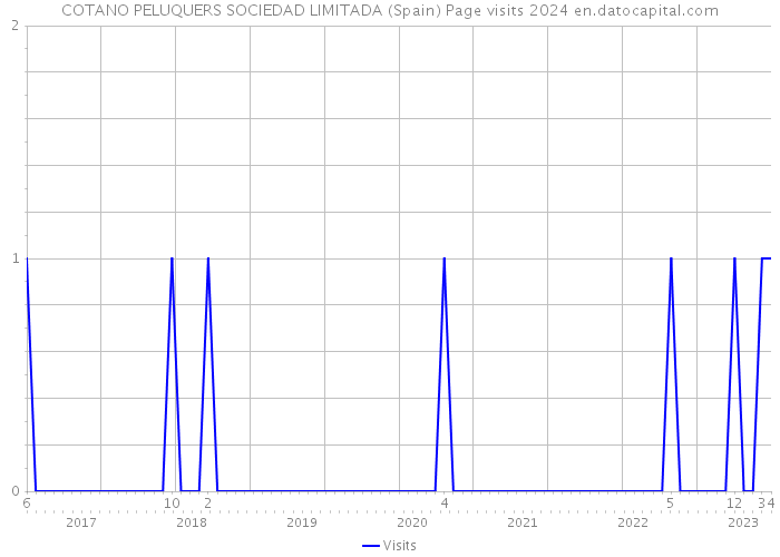 COTANO PELUQUERS SOCIEDAD LIMITADA (Spain) Page visits 2024 