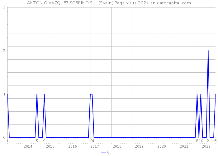 ANTONIO VAZQUEZ SOBRINO S.L. (Spain) Page visits 2024 