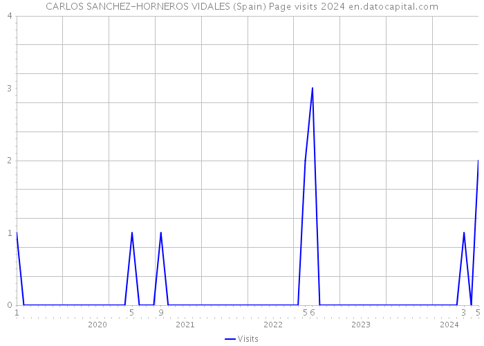 CARLOS SANCHEZ-HORNEROS VIDALES (Spain) Page visits 2024 