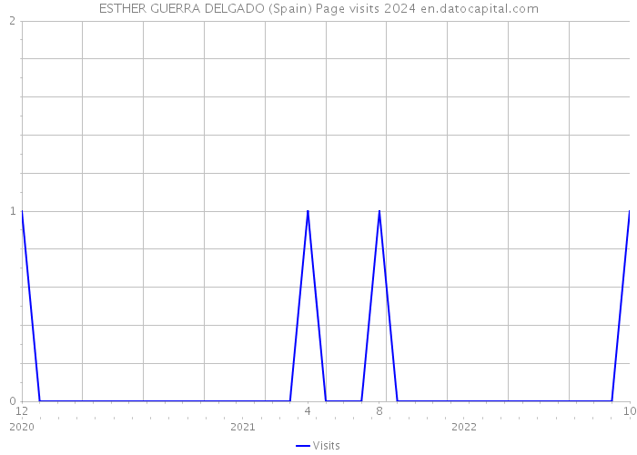 ESTHER GUERRA DELGADO (Spain) Page visits 2024 