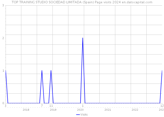 TOP TRAINING STUDIO SOCIEDAD LIMITADA (Spain) Page visits 2024 