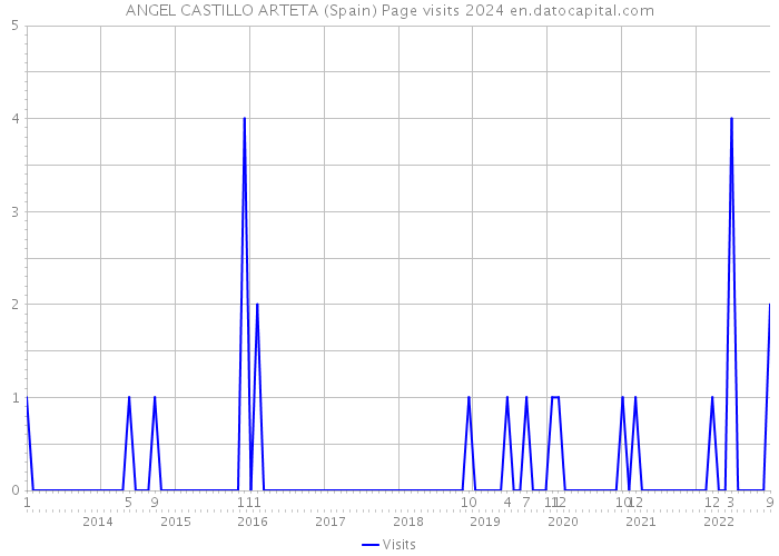 ANGEL CASTILLO ARTETA (Spain) Page visits 2024 
