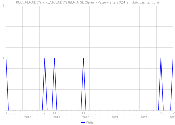 RECUPERADOS Y RECICLADOS IBERIA SL (Spain) Page visits 2024 
