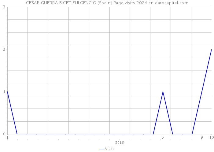 CESAR GUERRA BICET FULGENCIO (Spain) Page visits 2024 
