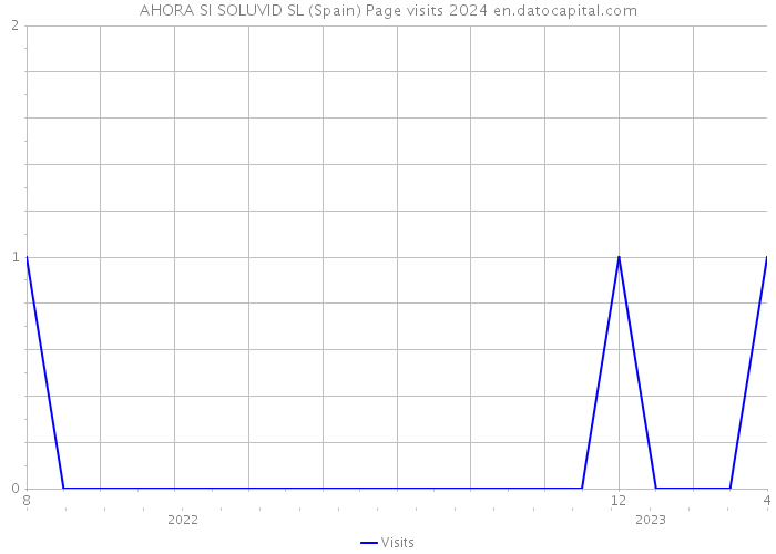 AHORA SI SOLUVID SL (Spain) Page visits 2024 