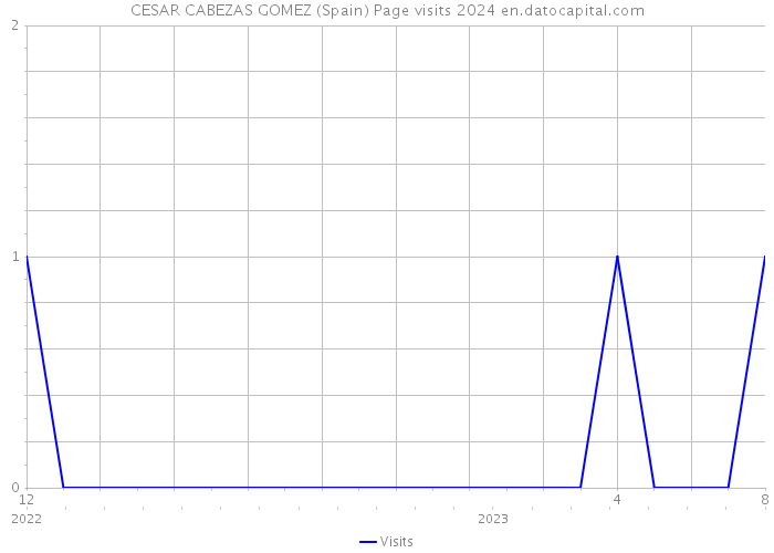 CESAR CABEZAS GOMEZ (Spain) Page visits 2024 