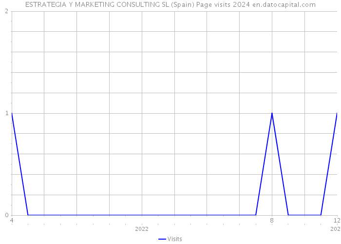 ESTRATEGIA Y MARKETING CONSULTING SL (Spain) Page visits 2024 