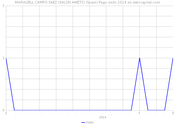 MARIAZELL CAMPO SAEZ (SALON AMETZ) (Spain) Page visits 2024 