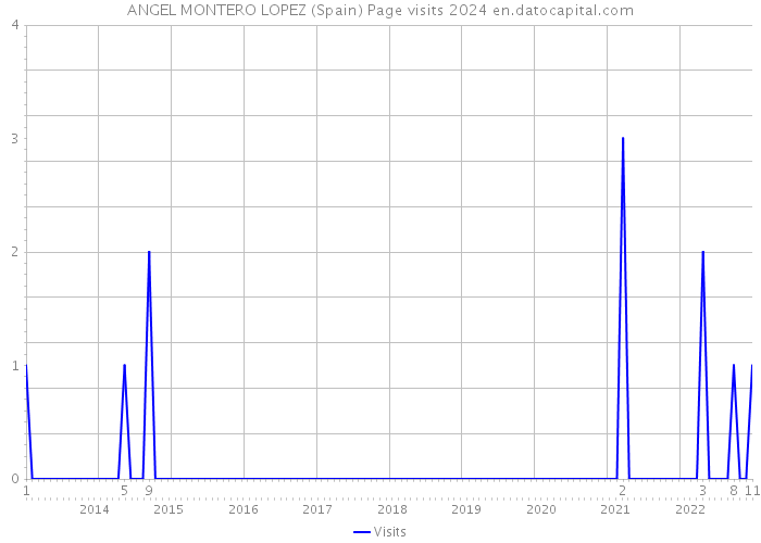 ANGEL MONTERO LOPEZ (Spain) Page visits 2024 