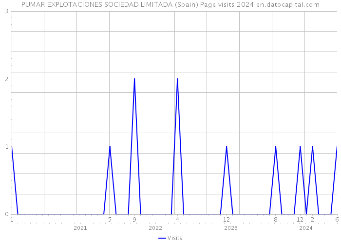 PUMAR EXPLOTACIONES SOCIEDAD LIMITADA (Spain) Page visits 2024 