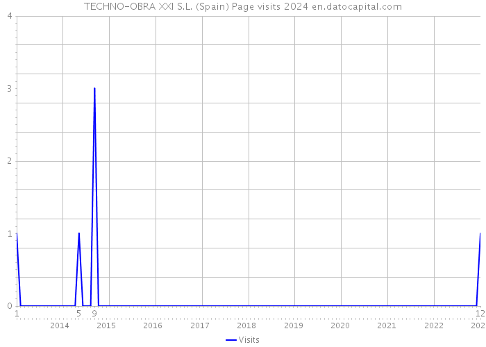 TECHNO-OBRA XXI S.L. (Spain) Page visits 2024 