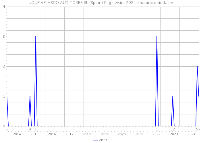 LUQUE VELASCO AUDITORES SL (Spain) Page visits 2024 