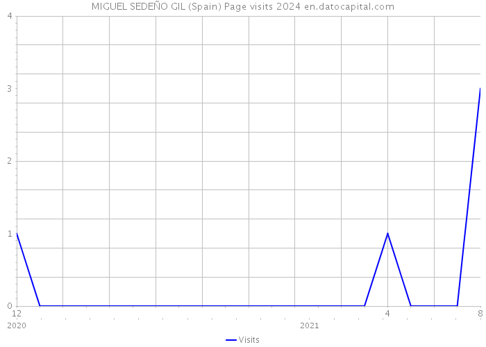 MIGUEL SEDEÑO GIL (Spain) Page visits 2024 