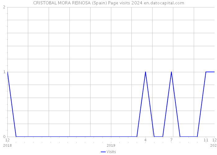 CRISTOBAL MORA REINOSA (Spain) Page visits 2024 