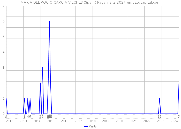 MARIA DEL ROCIO GARCIA VILCHES (Spain) Page visits 2024 