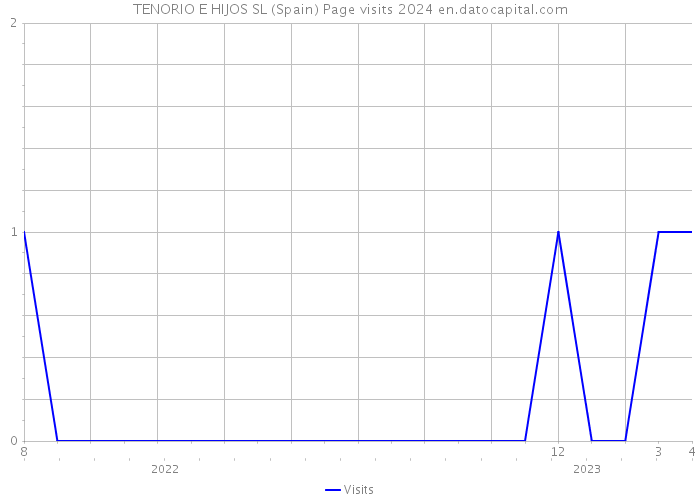 TENORIO E HIJOS SL (Spain) Page visits 2024 