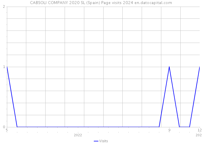 CABSOLI COMPANY 2020 SL (Spain) Page visits 2024 