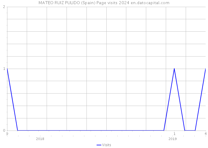 MATEO RUIZ PULIDO (Spain) Page visits 2024 