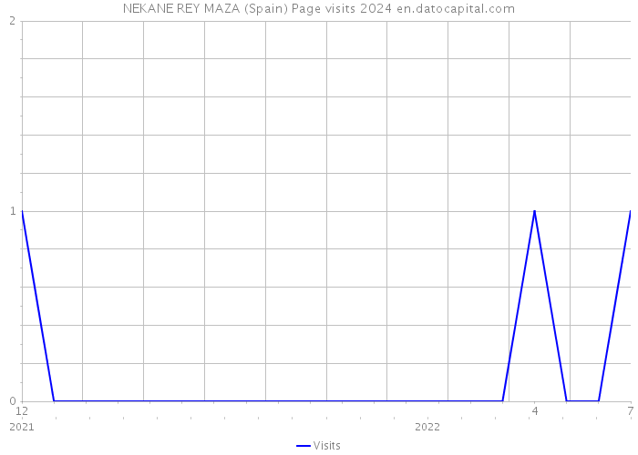 NEKANE REY MAZA (Spain) Page visits 2024 