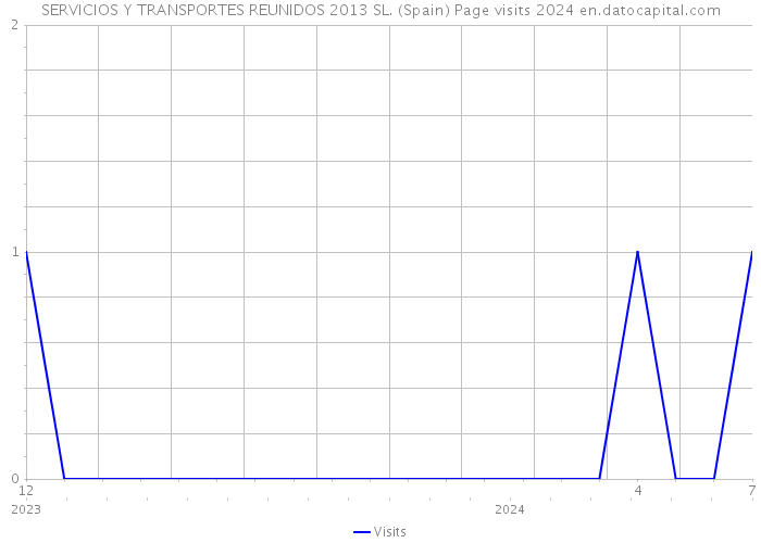 SERVICIOS Y TRANSPORTES REUNIDOS 2013 SL. (Spain) Page visits 2024 