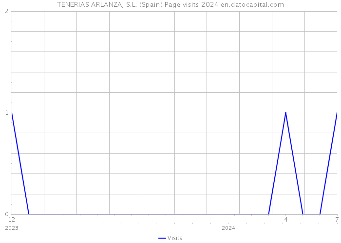 TENERIAS ARLANZA, S.L. (Spain) Page visits 2024 