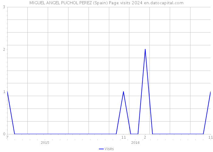 MIGUEL ANGEL PUCHOL PEREZ (Spain) Page visits 2024 