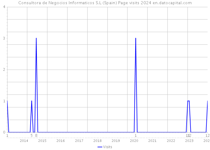 Consultora de Negocios Informaticos S.L (Spain) Page visits 2024 