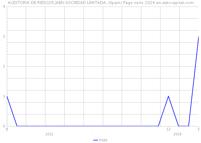 AUDITORIA DE RIESGOS JAEN SOCIEDAD LIMITADA. (Spain) Page visits 2024 