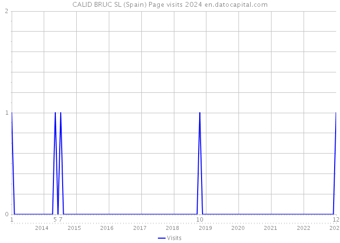 CALID BRUC SL (Spain) Page visits 2024 