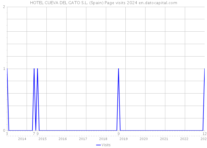 HOTEL CUEVA DEL GATO S.L. (Spain) Page visits 2024 