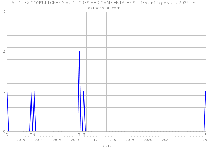 AUDITEX CONSULTORES Y AUDITORES MEDIOAMBIENTALES S.L. (Spain) Page visits 2024 