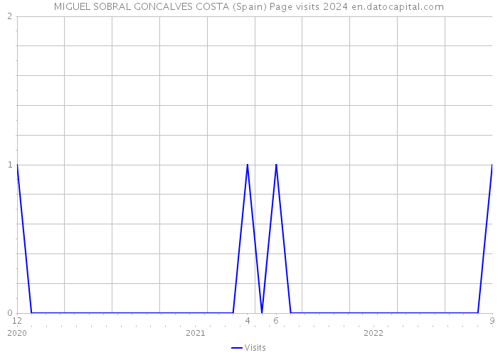 MIGUEL SOBRAL GONCALVES COSTA (Spain) Page visits 2024 