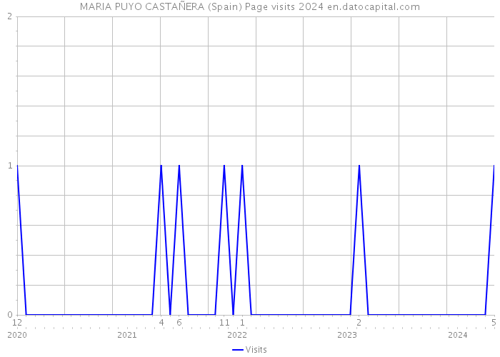 MARIA PUYO CASTAÑERA (Spain) Page visits 2024 