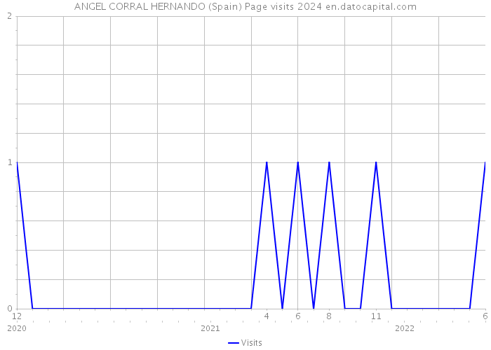 ANGEL CORRAL HERNANDO (Spain) Page visits 2024 