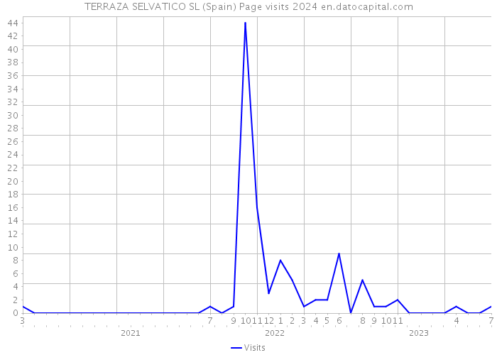 TERRAZA SELVATICO SL (Spain) Page visits 2024 
