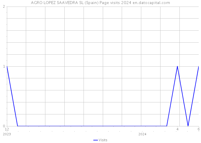 AGRO LOPEZ SAAVEDRA SL (Spain) Page visits 2024 
