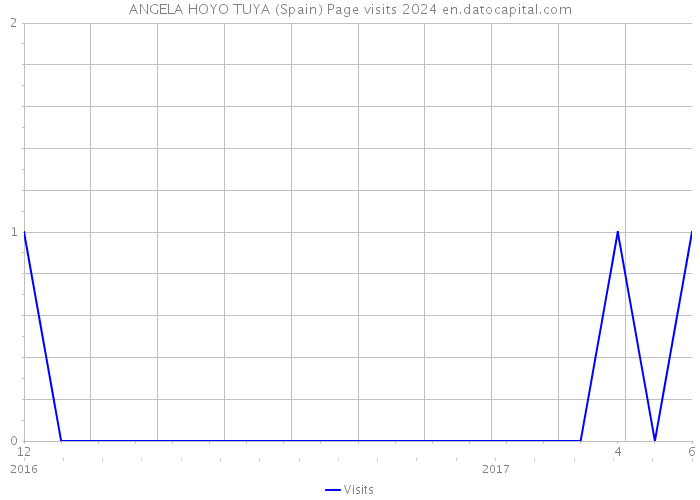 ANGELA HOYO TUYA (Spain) Page visits 2024 