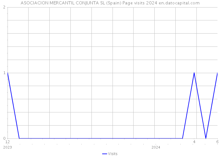 ASOCIACION MERCANTIL CONJUNTA SL (Spain) Page visits 2024 