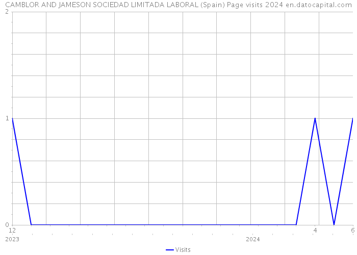 CAMBLOR AND JAMESON SOCIEDAD LIMITADA LABORAL (Spain) Page visits 2024 