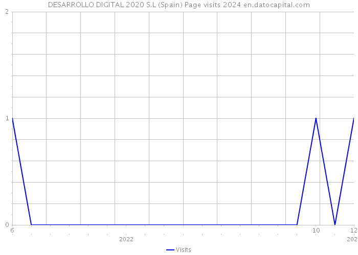 DESARROLLO DIGITAL 2020 S.L (Spain) Page visits 2024 