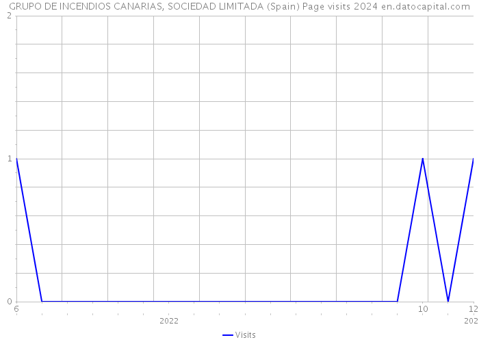 GRUPO DE INCENDIOS CANARIAS, SOCIEDAD LIMITADA (Spain) Page visits 2024 