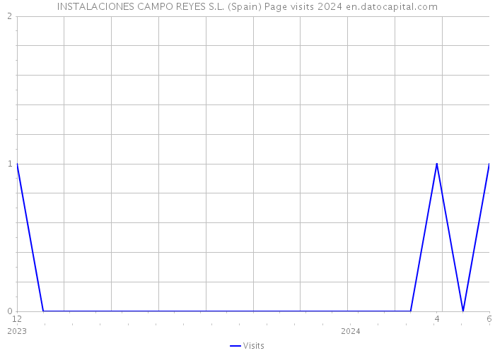 INSTALACIONES CAMPO REYES S.L. (Spain) Page visits 2024 