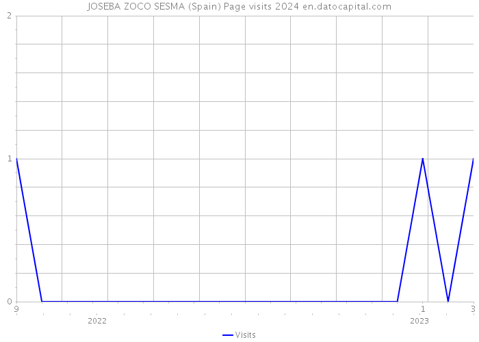 JOSEBA ZOCO SESMA (Spain) Page visits 2024 