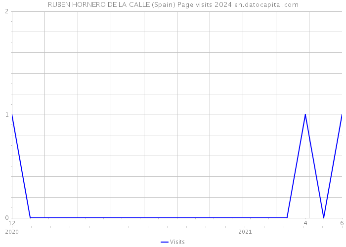RUBEN HORNERO DE LA CALLE (Spain) Page visits 2024 