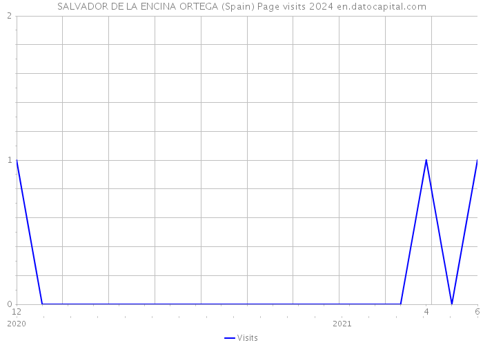 SALVADOR DE LA ENCINA ORTEGA (Spain) Page visits 2024 