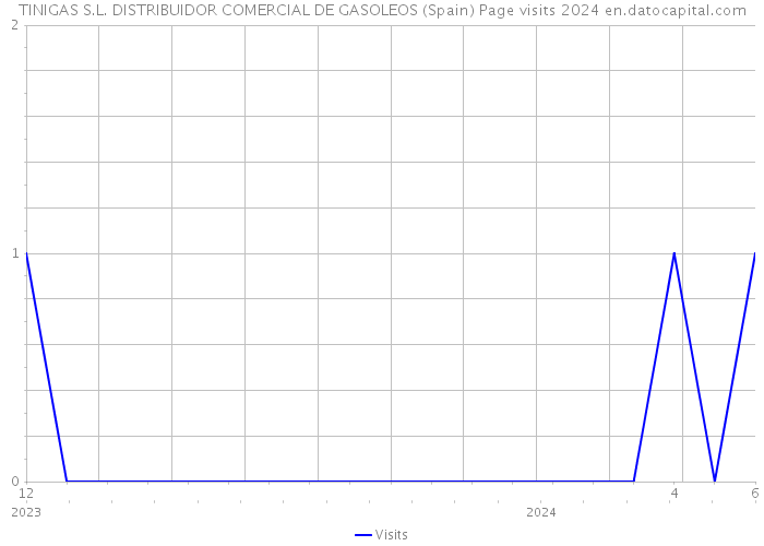 TINIGAS S.L. DISTRIBUIDOR COMERCIAL DE GASOLEOS (Spain) Page visits 2024 