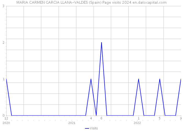 MARIA CARMEN GARCIA LLANA-VALDES (Spain) Page visits 2024 