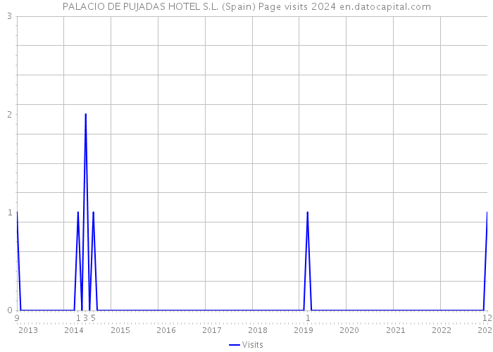 PALACIO DE PUJADAS HOTEL S.L. (Spain) Page visits 2024 