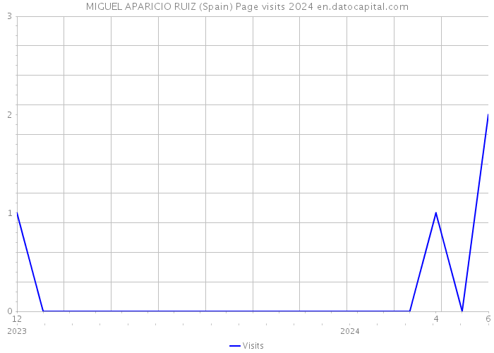 MIGUEL APARICIO RUIZ (Spain) Page visits 2024 