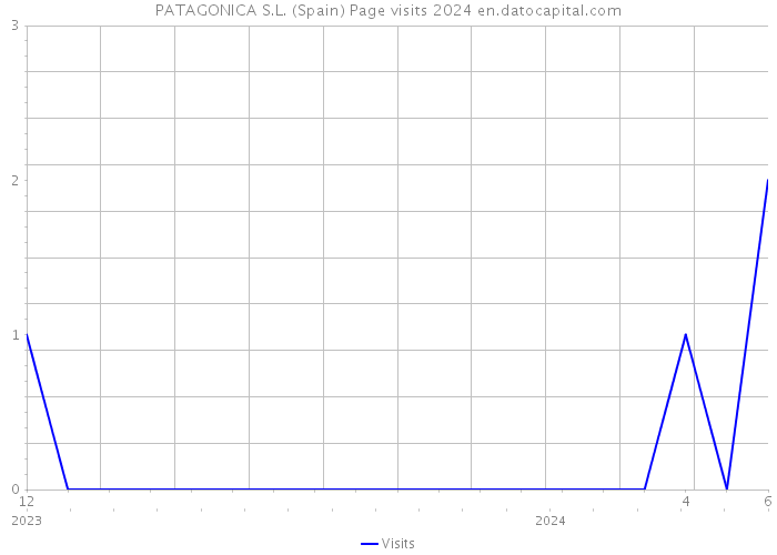 PATAGONICA S.L. (Spain) Page visits 2024 